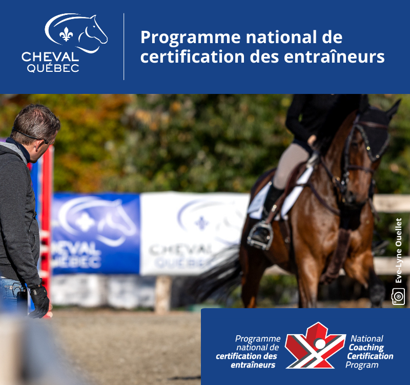 Entraîneur de compétition spécialiste PNCE/CE en saut d’obstacles